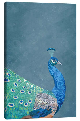 Canvas-taulu Peacock in Profile