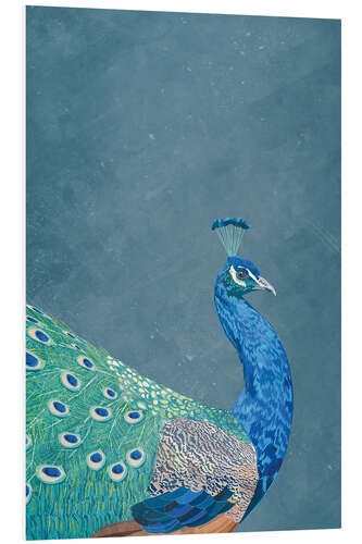 Foam board print Peacock in Profile