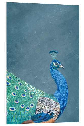 Gallery print Peacock in Profile