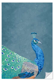 Sisustustarra Peacock in Profile