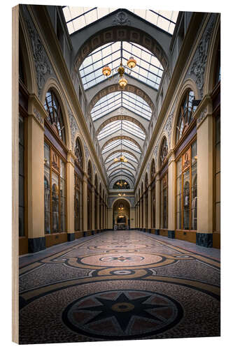 Stampa su legno Vista interna della Galerie Vivienne, Parigi