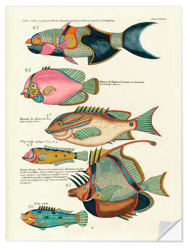 Adesivo murale Fishes - Vintage Plate 127