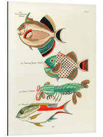 Tableau en aluminium Sea Life - Vintage Plate 95