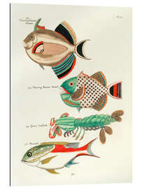 Galleritryck Sea Life - Vintage Plate 95