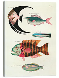 Obraz na płótnie Fishes - Vintage Plate 067 - Louis Renard