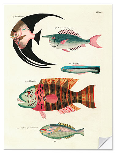 Autocolante decorativo Fishes - Vintage Plate 067