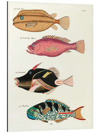 Obraz na aluminium Fishes - Vintage Plate 75