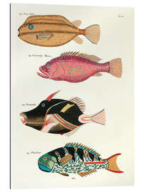 Gallery Print Fische - Vintage Plate 75