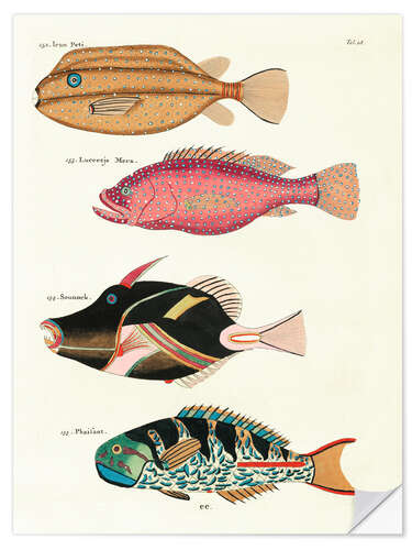 Sisustustarra Fishes - Vintage Plate 75