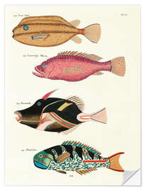 Sticker mural Poissons - Vintage Plate 75