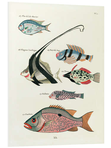 Tableau en PVC Poissons -  Vintage Plate 81