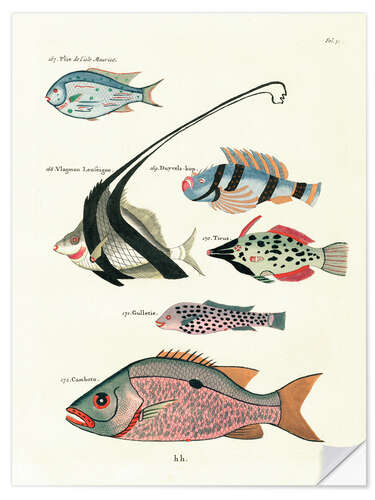 Selvklebende plakat Fishes - Vintage Plate 81