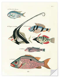 Adesivo murale Fishes - Vintage Plate 81