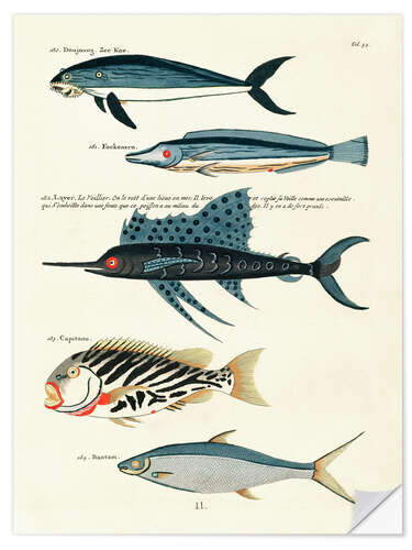 Sisustustarra Fishes - Vintage Plate 87