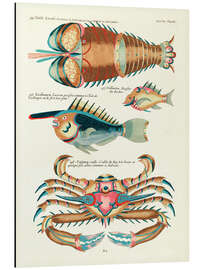 Magnettafel Meerestiere - Vintage Plate 201