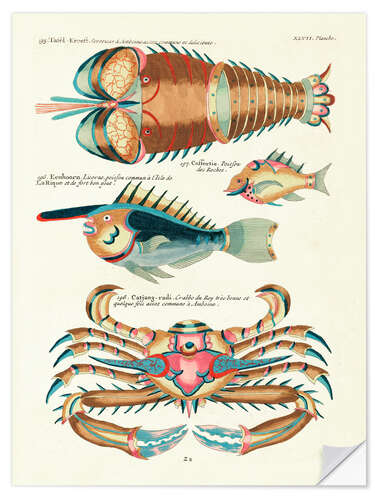 Wall sticker Sea Life - Vintage Plate 201