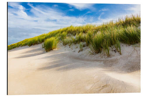 Alumiinitaulu Dune at the Baltic Sea