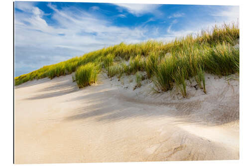 Tableau en plexi-alu Dune at the Baltic Sea