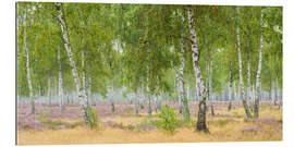 Gallery print Birch forest with heather blossom