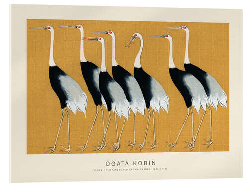 Acrylglasbild Flock of Japanese Red Crown Cranes