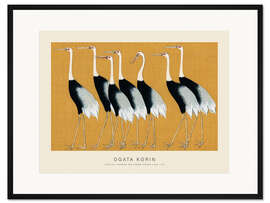 Gerahmter Kunstdruck Flock of Japanese Red Crown Cranes