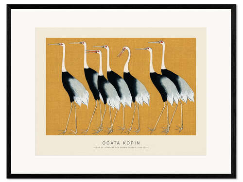 Kunsttryk i ramme Flock of Japanese Red Crown Cranes