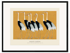 Gerahmter Kunstdruck Flock of Japanese Red Crown Cranes