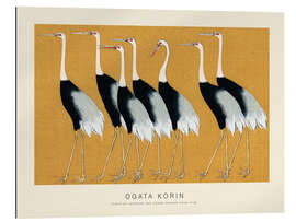 Gallery print Flock of Japanese Red Crown Cranes