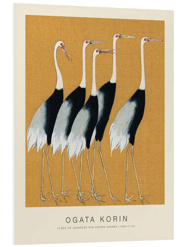 Bilde på skumplate Flock of Japanese Red Crown Cranes (detalj)