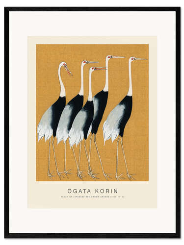 Gerahmter Kunstdruck Flock of Japanese Red Crown Cranes (Detail)