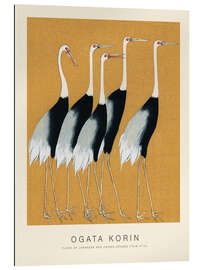 Gallery print Flock of Japanese Red Crown Cranes (detail)