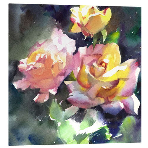 Acrylglas print Roses in the Sunlight