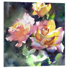 Gallery print Roses in the Sunlight