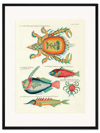 Gerahmter Kunstdruck Meerestiere - Vintage Plate 199