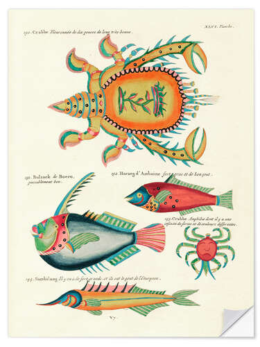 Muursticker Sea Life - Vintage Plate 199