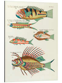 Tableau en aluminium Poissons - Vintage Plate 137