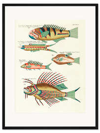 Gerahmter Kunstdruck Fische - Vintage Plate 137