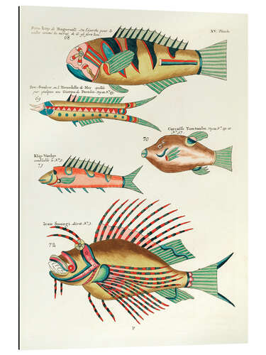 Galleriataulu Fishes - Vintage Plate 137