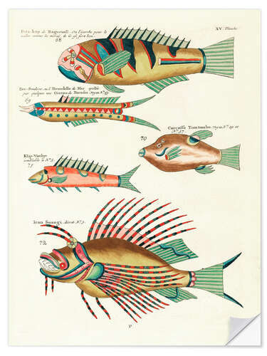 Selvklebende plakat Fishes - Vintage Plate 137