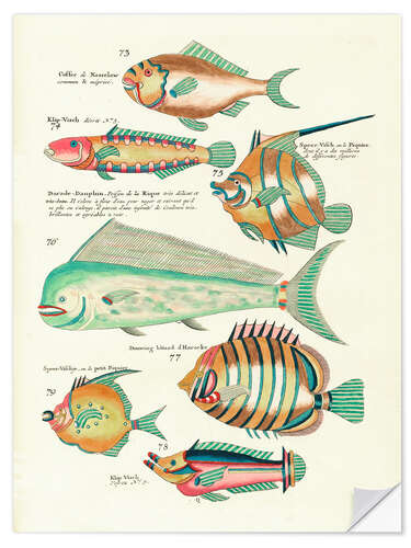 Wall sticker Fishes - Vintage Plate 139