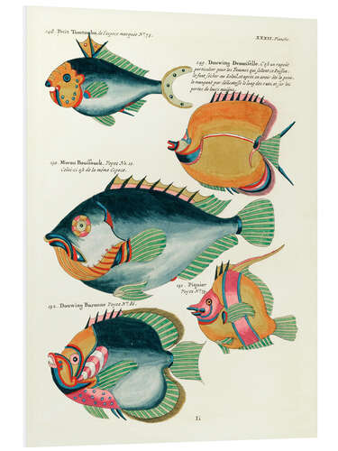 Tableau en PVC Poissons- Vintage Plate 171