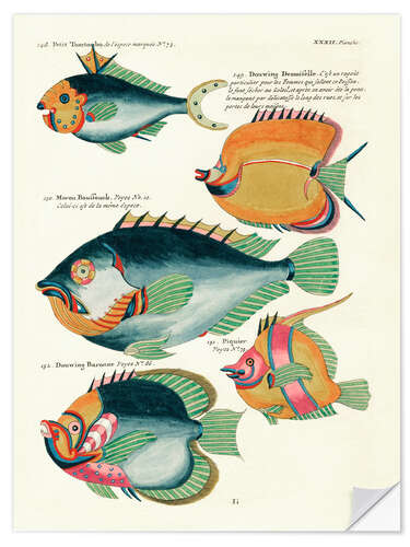 Wall sticker Fishes - Vintage Plate 171