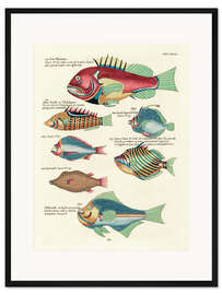 Gerahmter Kunstdruck Fische - Vintage Plate 157