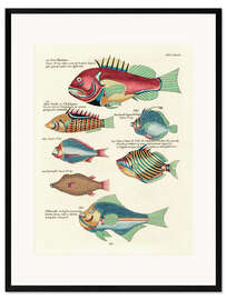 Impression artistique encadrée Poissons - Vintage Plate 157