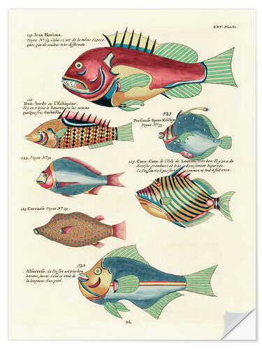 Wandsticker Fische - Vintage Plate 157