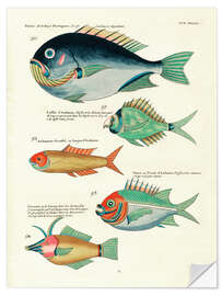 Adesivo murale Fishes - Vintage Plate 145