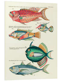 Tableau en PVC Poissons - Vintage Plate 149