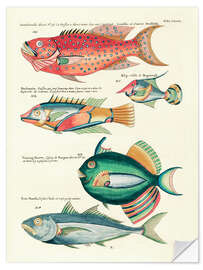 Selvklebende plakat Fishes - Vintage Plate 149