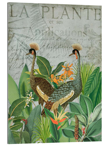 Galleriprint Cranes in the tropics