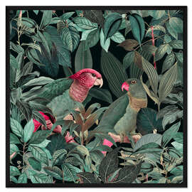 Gerahmter Kunstdruck Grüne Dschungelvögel